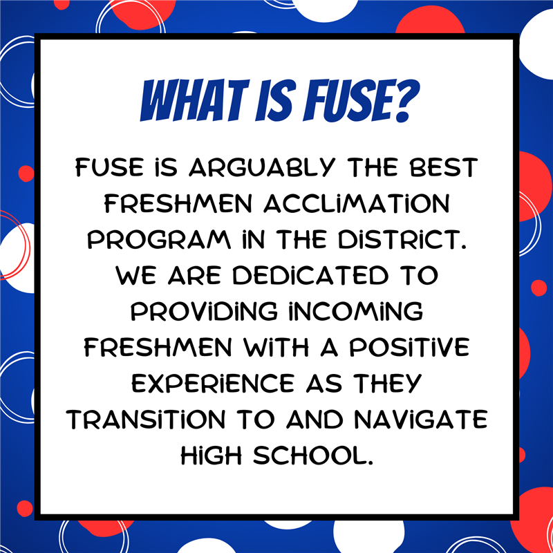 What is FUSE?